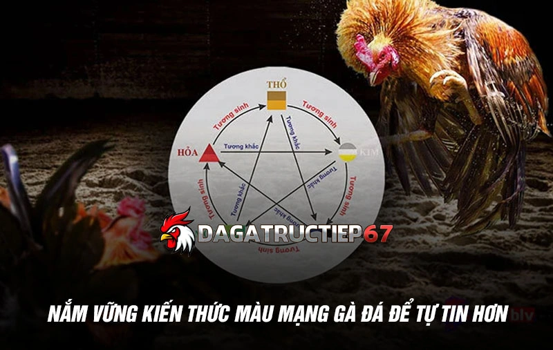 Nắm vững kiến thức màu mạng gà đá để tự tin hơn