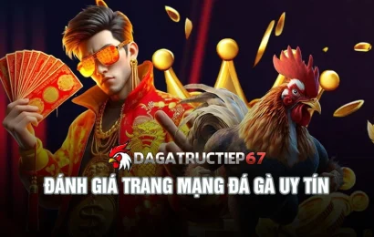 Đánh giá trang mạng đá gà uy tín - Bí quyết chọn nền tảng lý tưởng